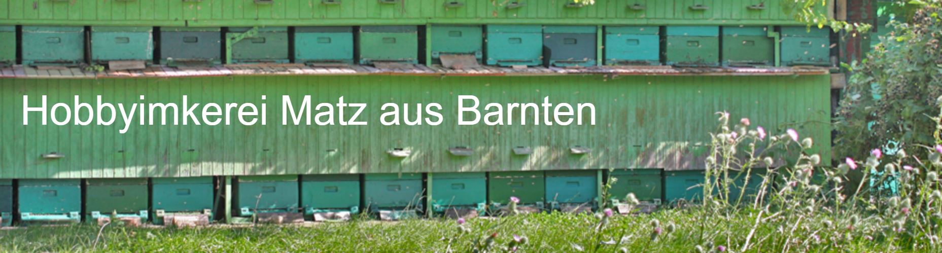 Hobbyimkerei Matz aus Barnten